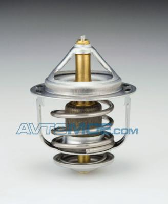 Термостат WV48B765 Tama (фото №1)